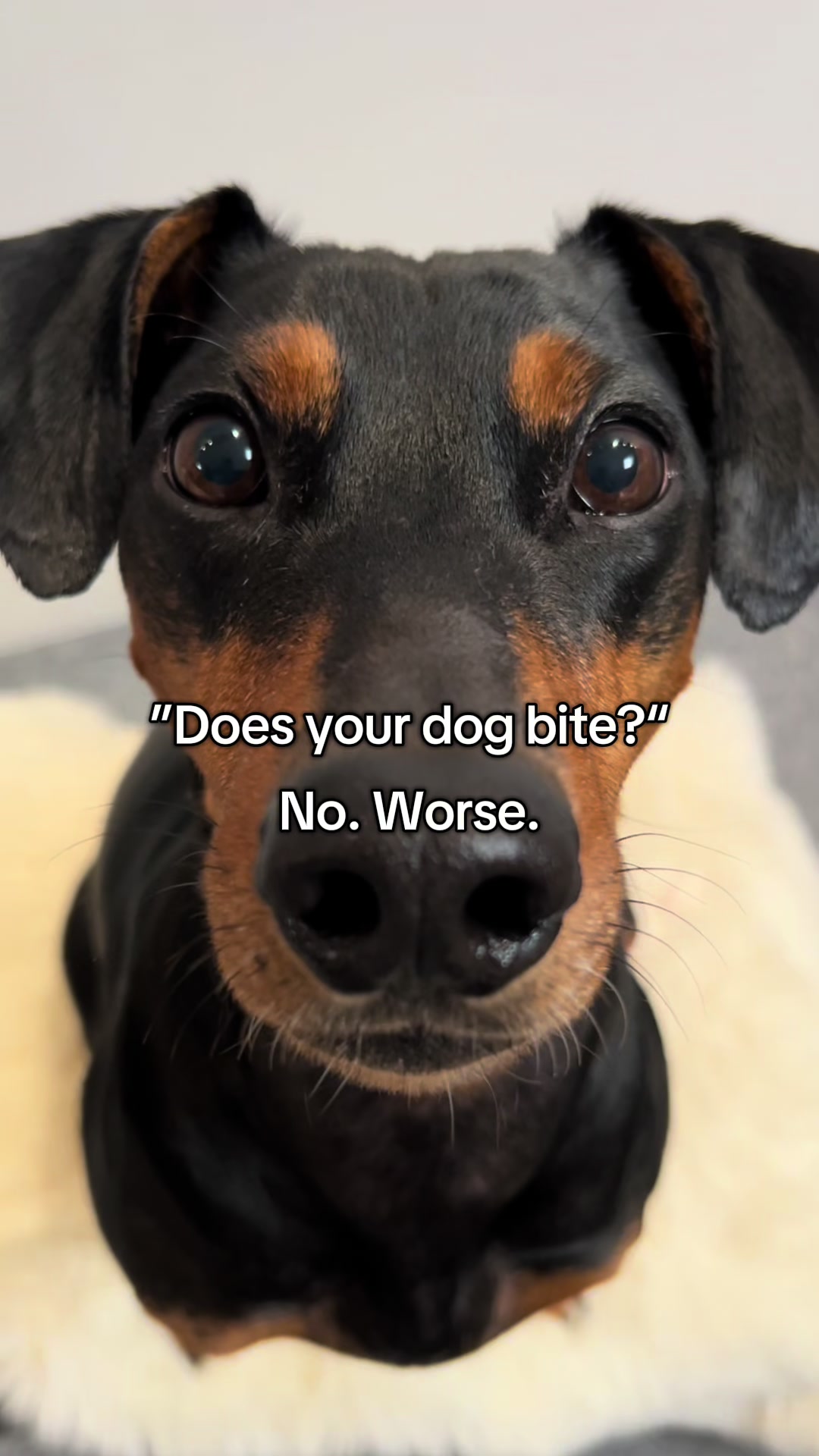 @AlvaTheHotDog