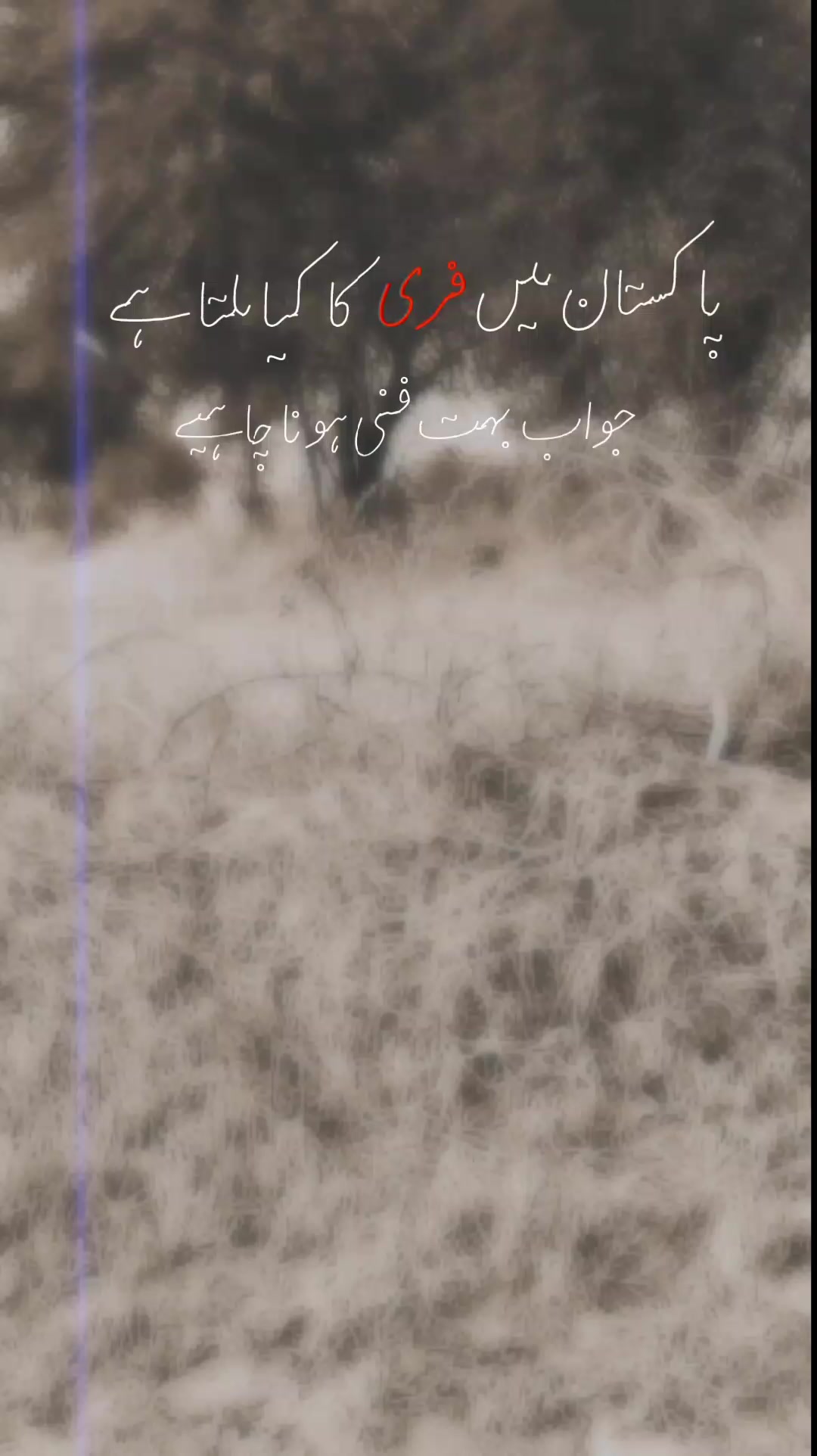 @𝙌𝘼𝙄𝙈𝙄_𝙒𝙍𝙄𝙏𝙀𝙎