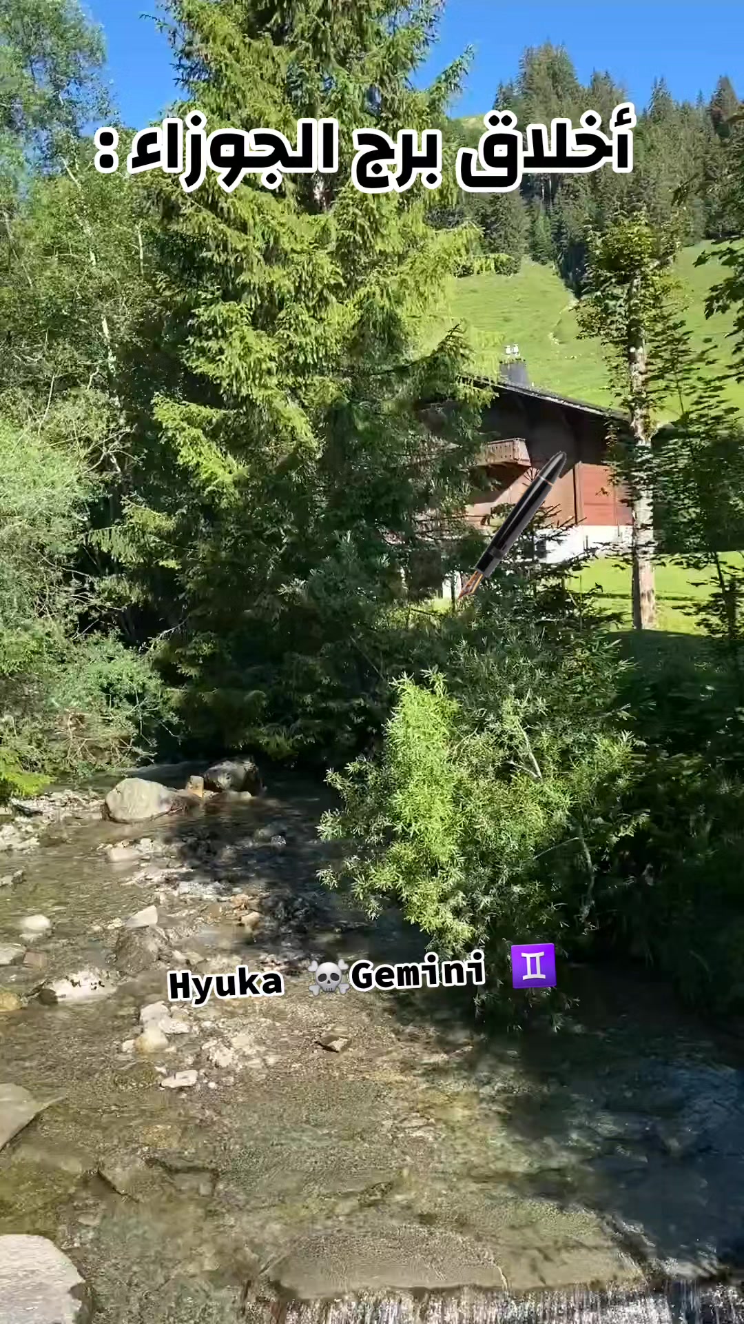 @💀Hyuka⚛️Gemini♊️