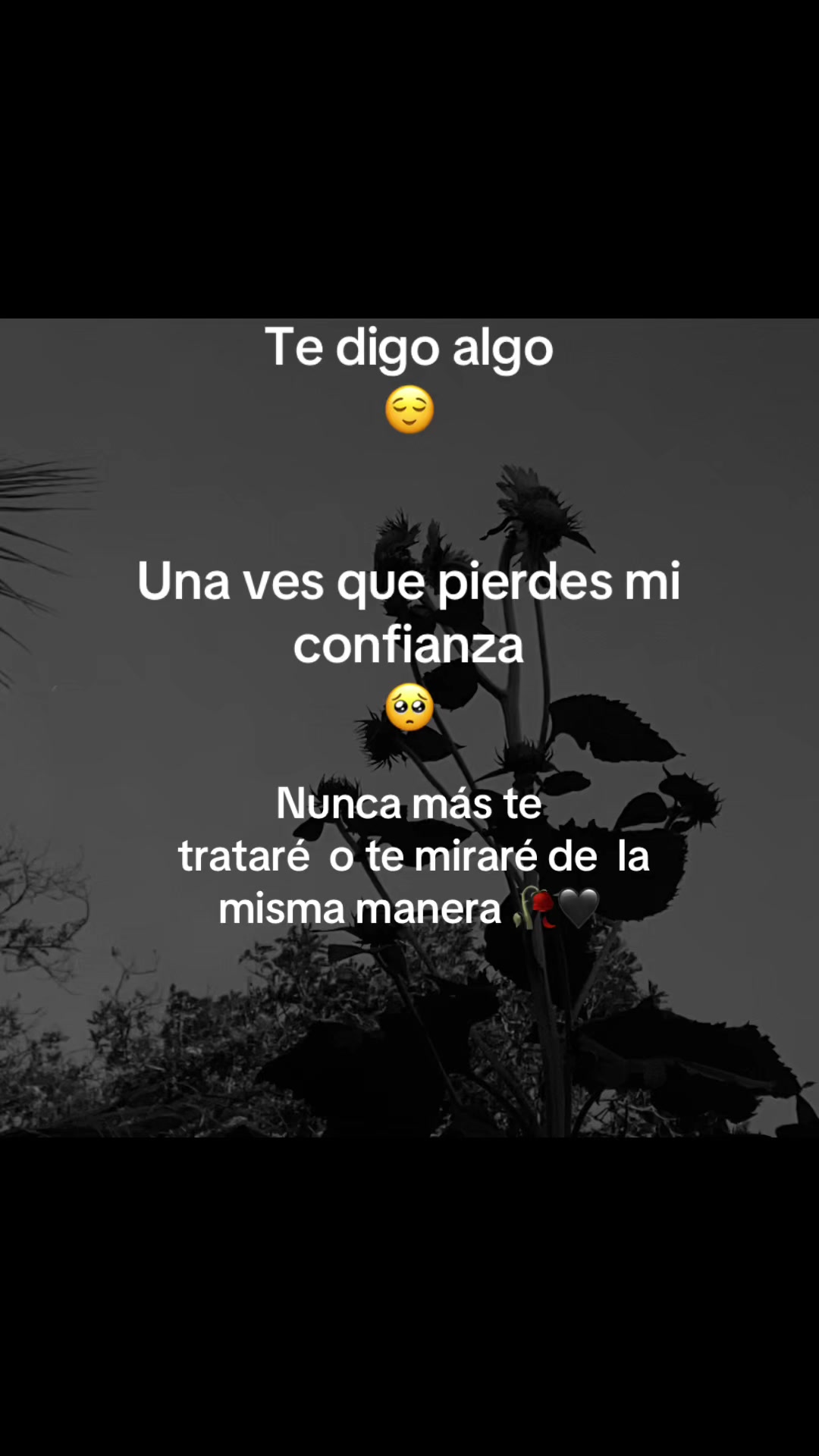 @Carmencita 🇳🇮matagalpina100%