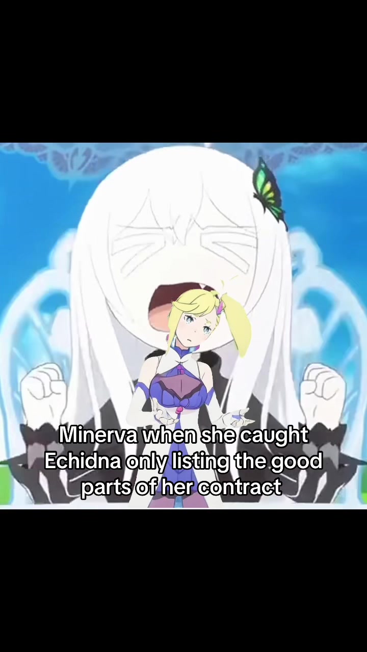 @Milkies/Echidna