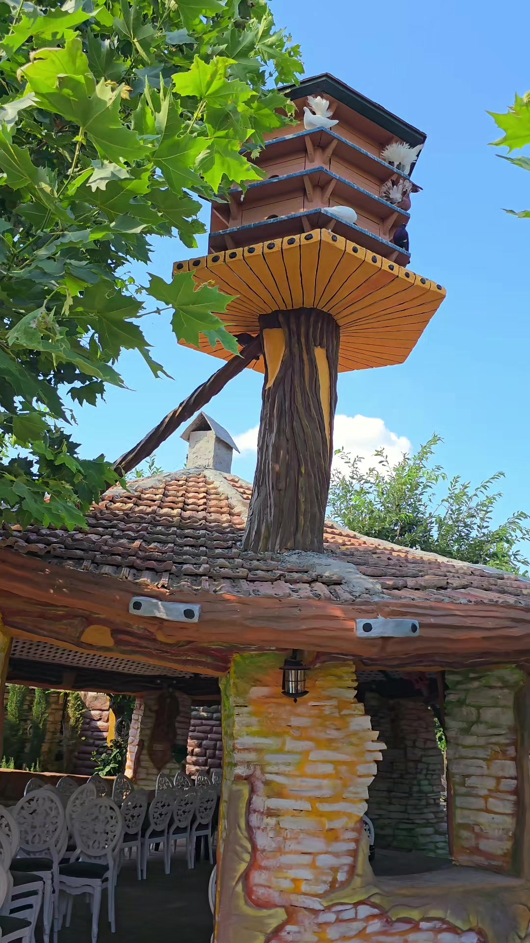 @Tural Zeynalov