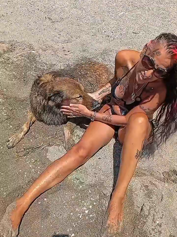 @Gülce Ataseven