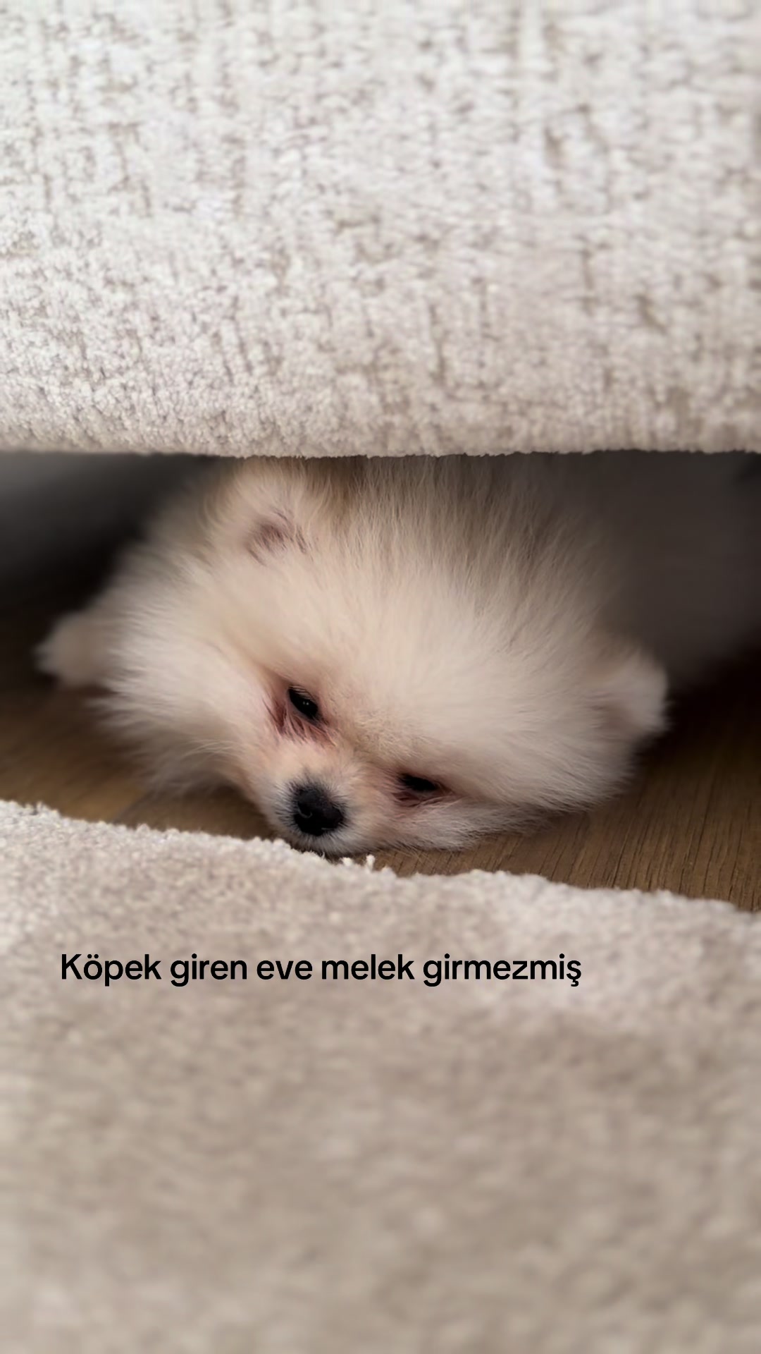 @İLAYDA ALKAN
