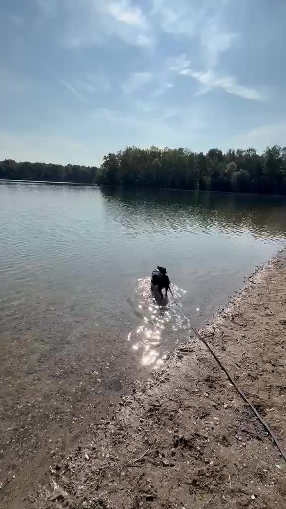 @Mrs. & Mrs. Vollmi💍🌈