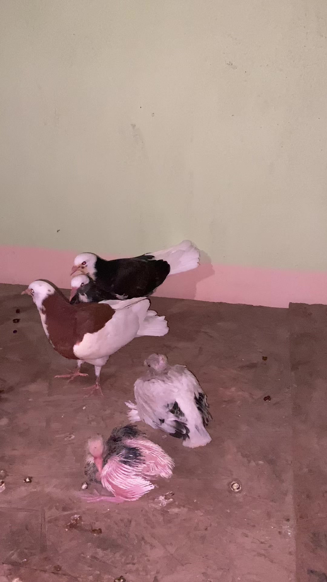 @Ramazan Kıvrak