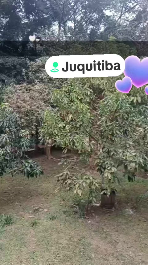 @CÁSSIA CORRETORA DE IMÓVEIS