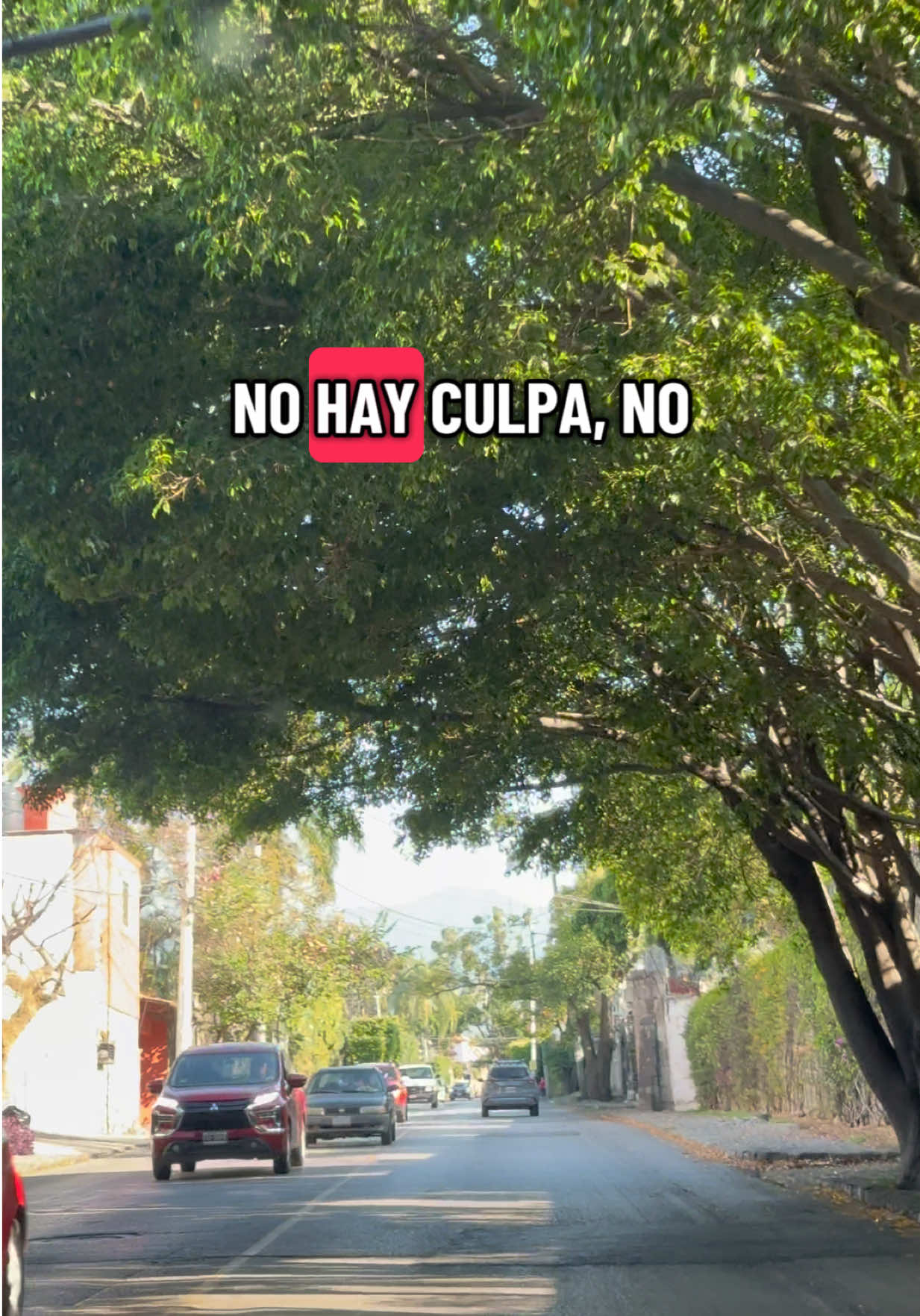 @Edd Cortés