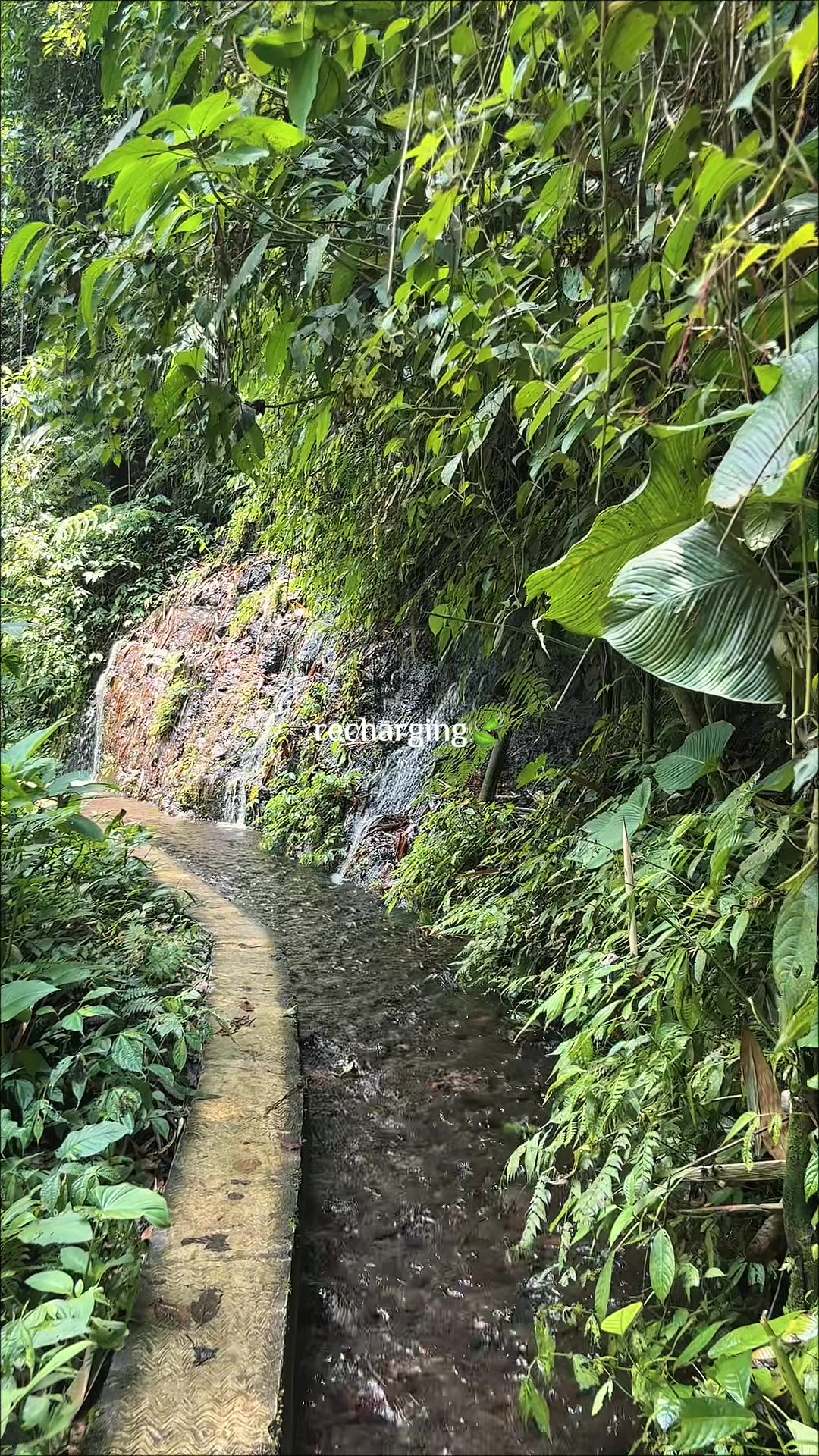 @Della Indodana