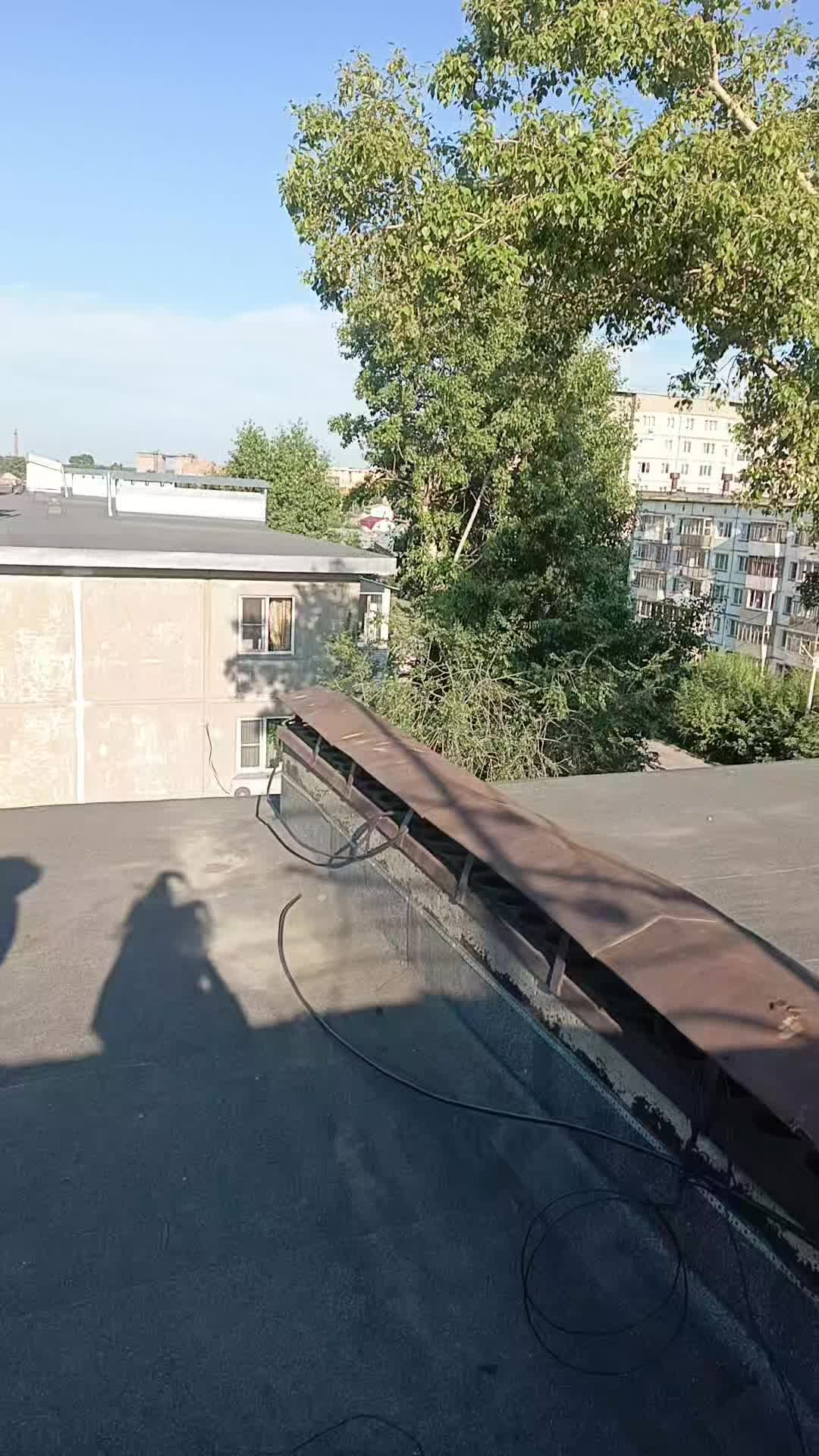 @есть любимый сенди