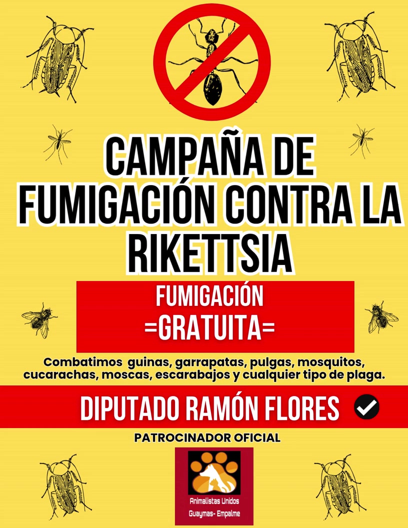 @Animalistas Unidos GymsEmp