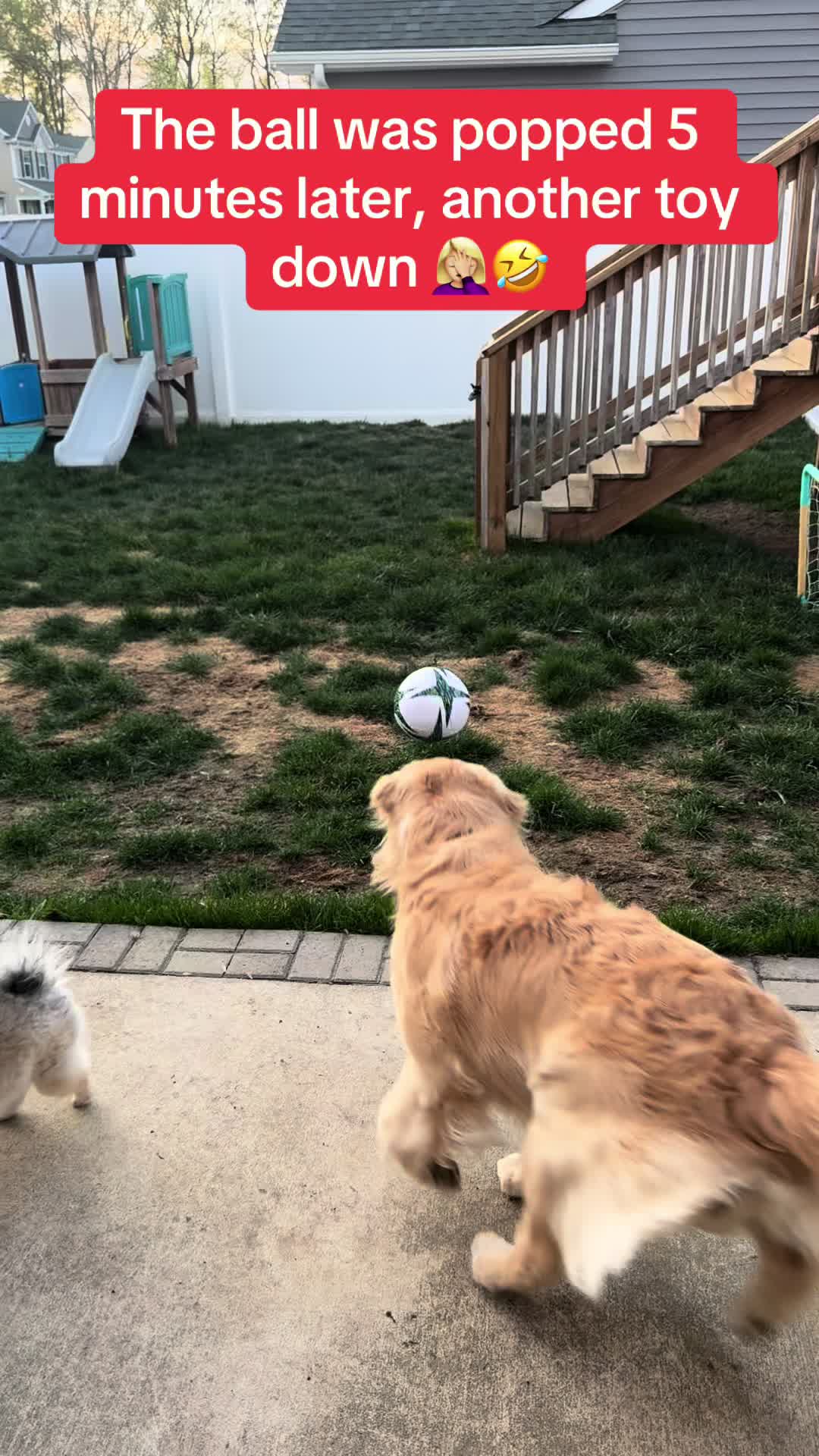 @Tucker_tha_Golden