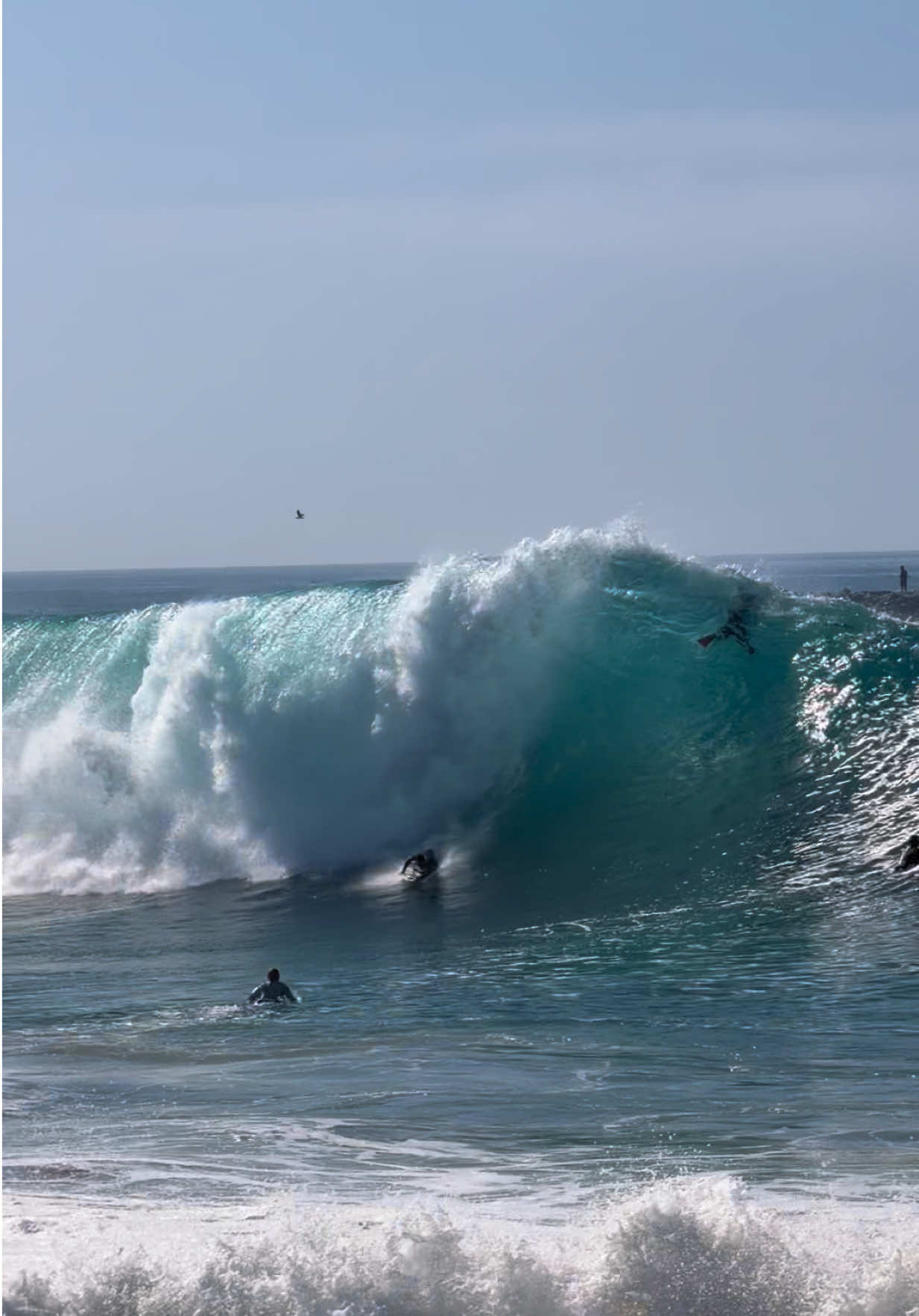 @I&rsquo;m A Surfer, Dude