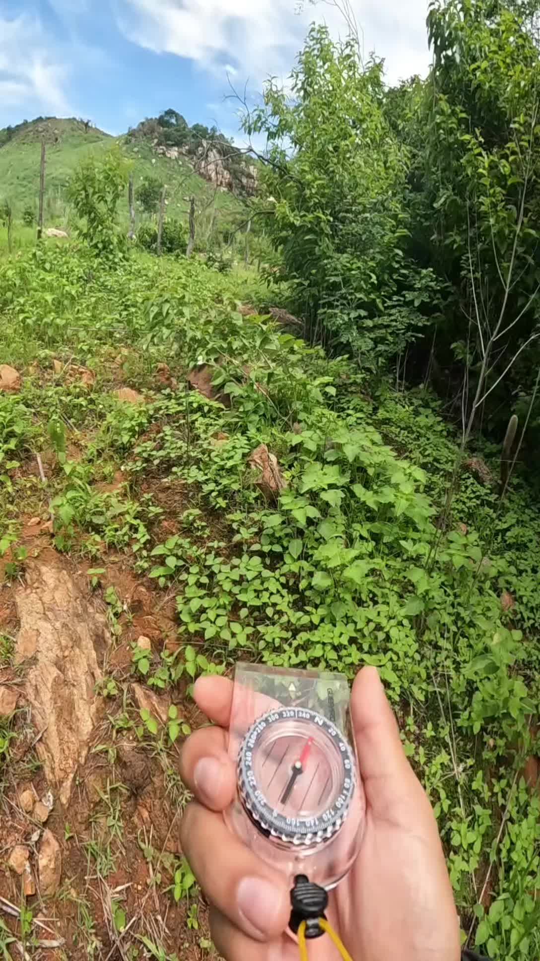 @carlos.tdias