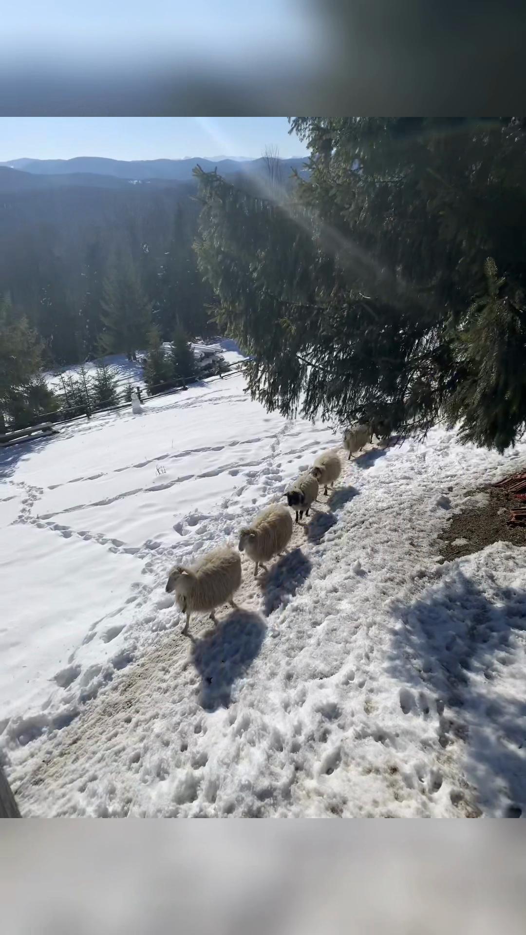 @Кира Владимировна
