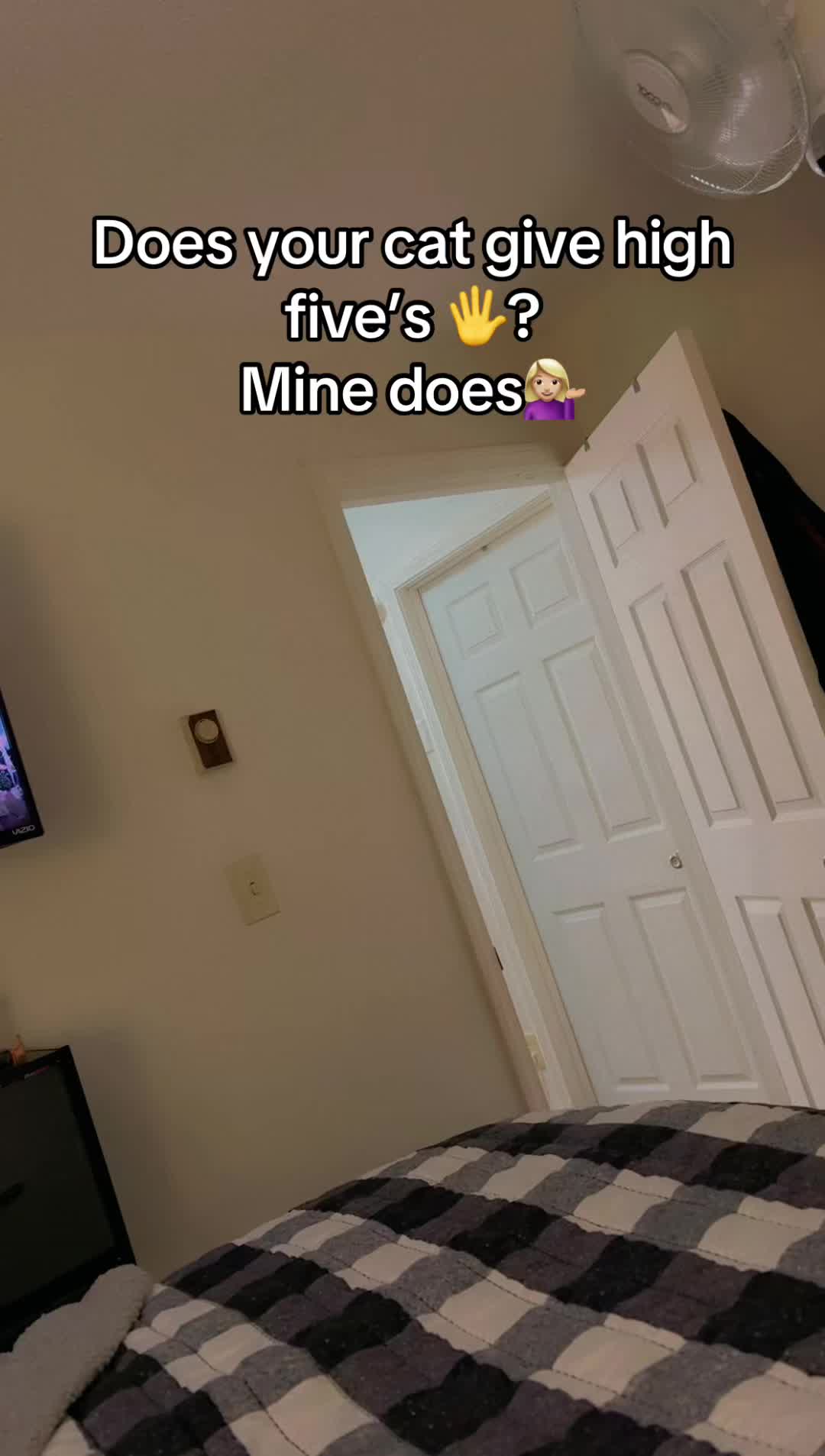 @MaineStateOfMind👑