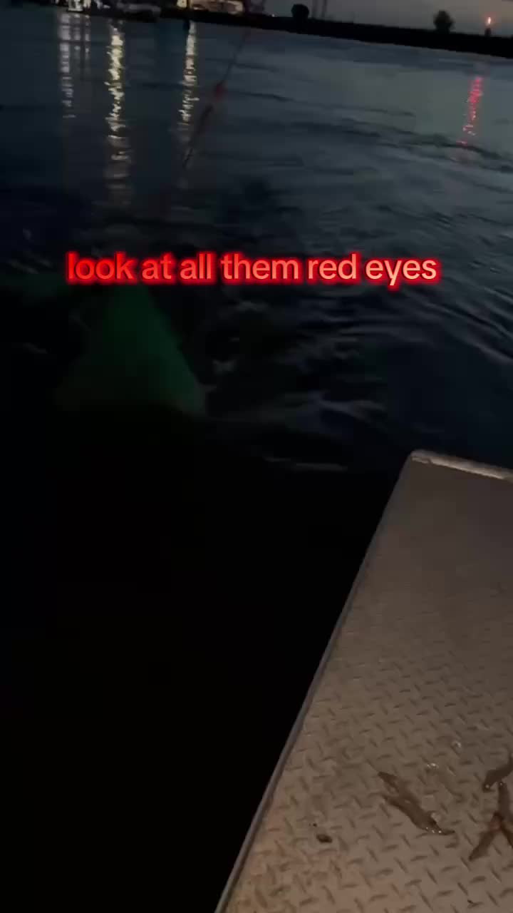 @SALTWATER SAB OUTDOORS