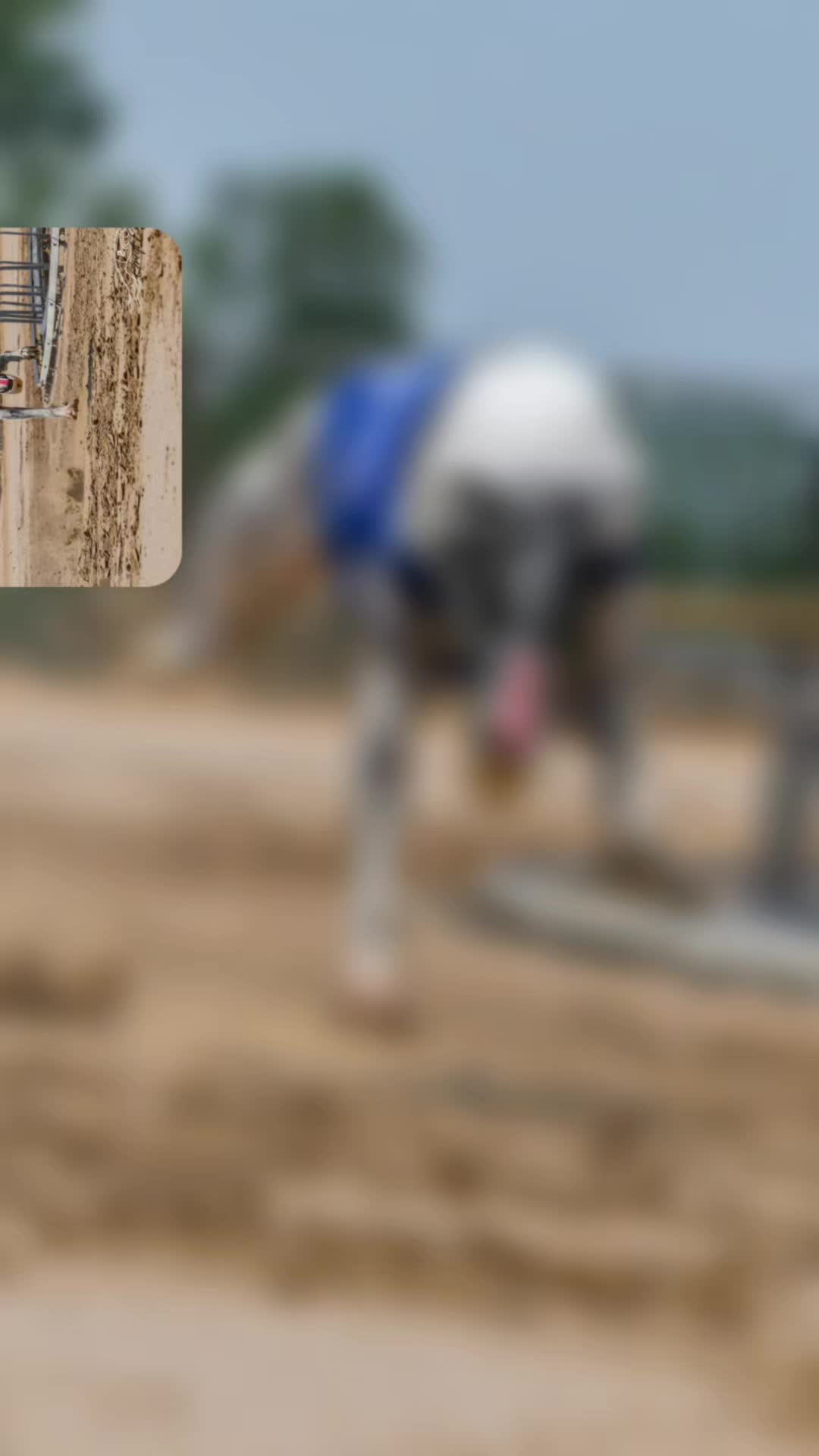 @BeniTheRetiredRacer