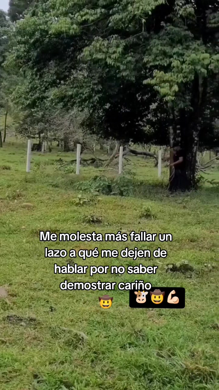 @SERGIO. R._94
