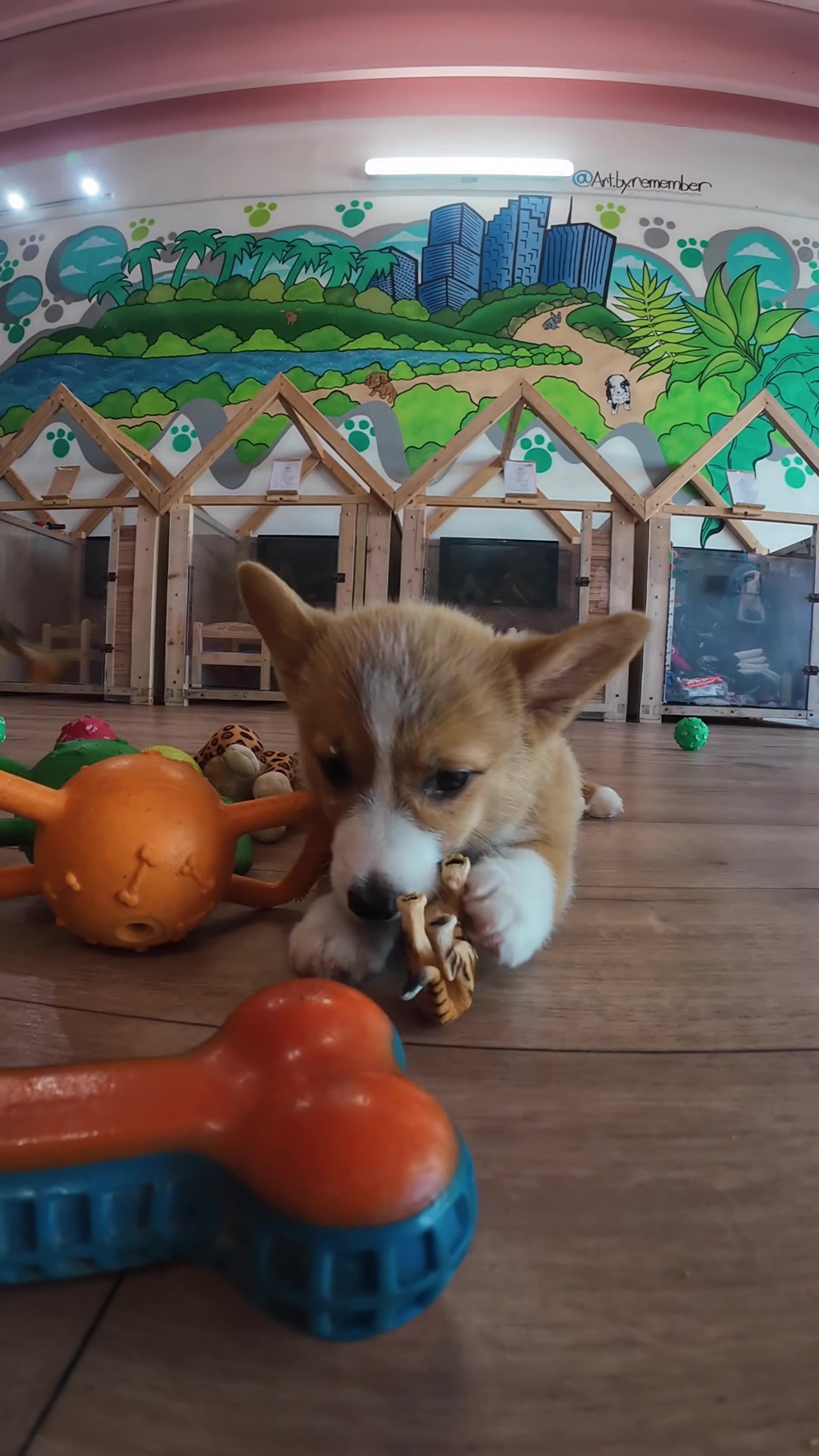 @Puppy City