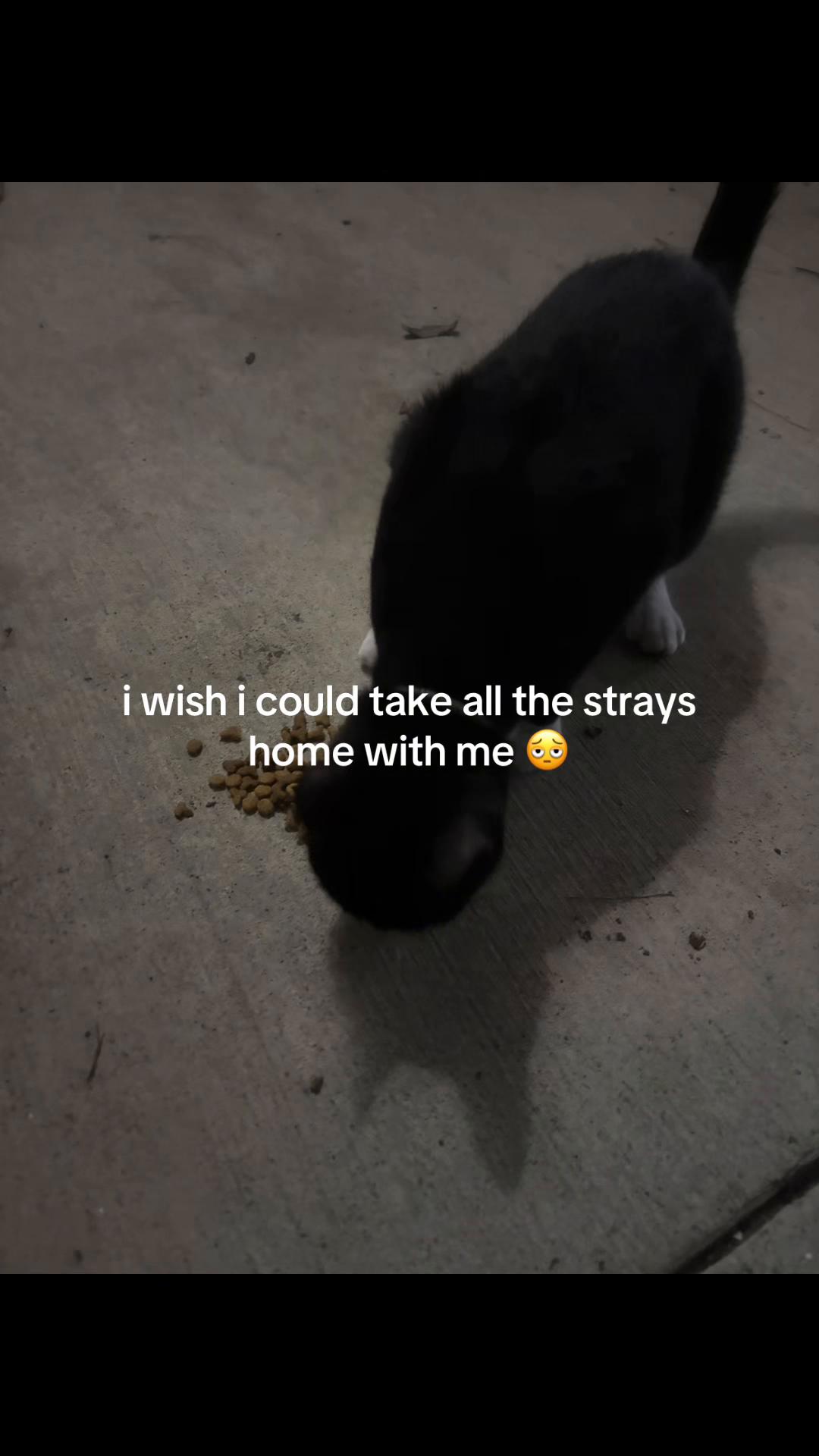 @woochiedestroyer