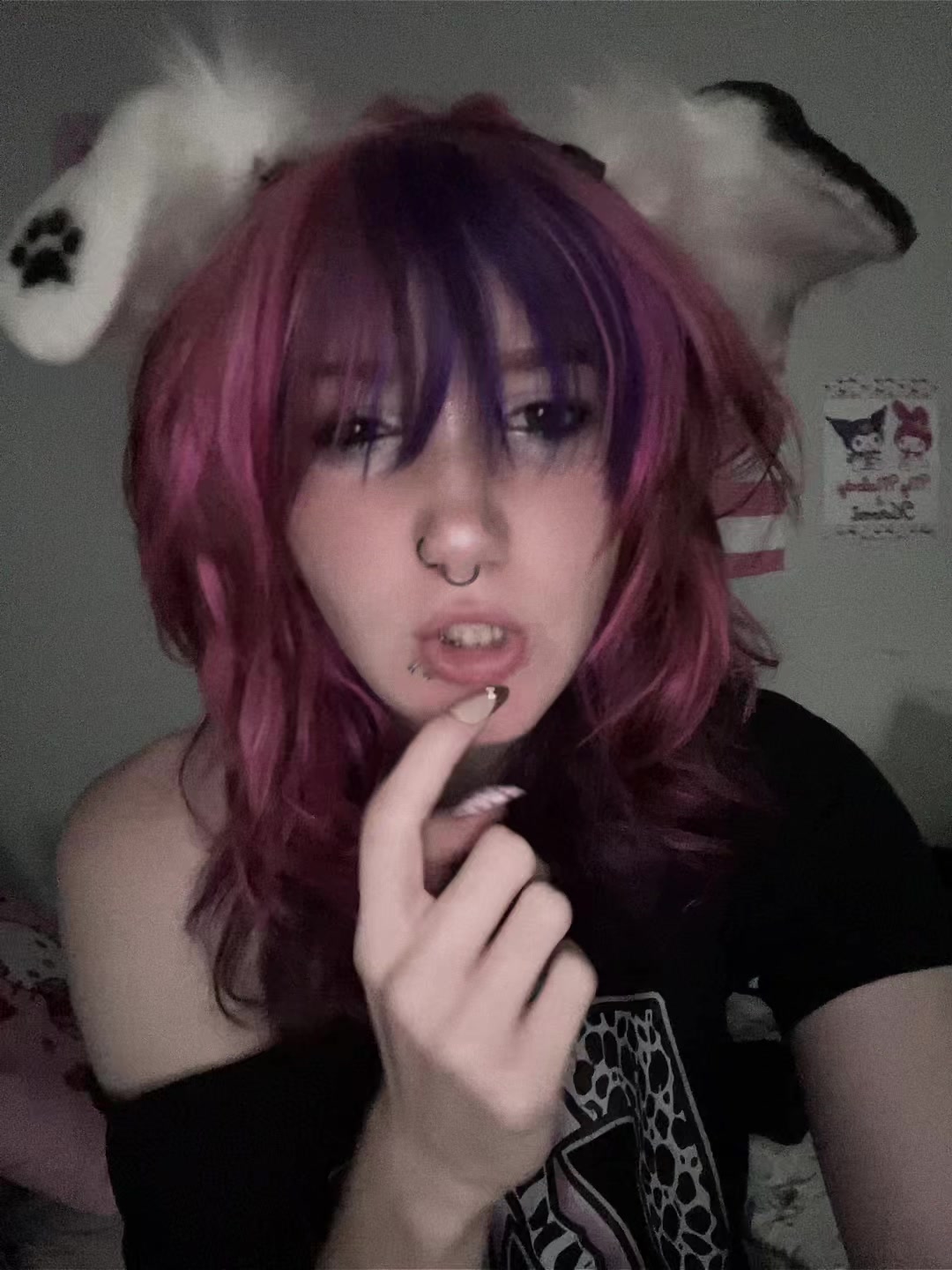 @⋆🐾° ʟᴇᴏɴ >⩊<