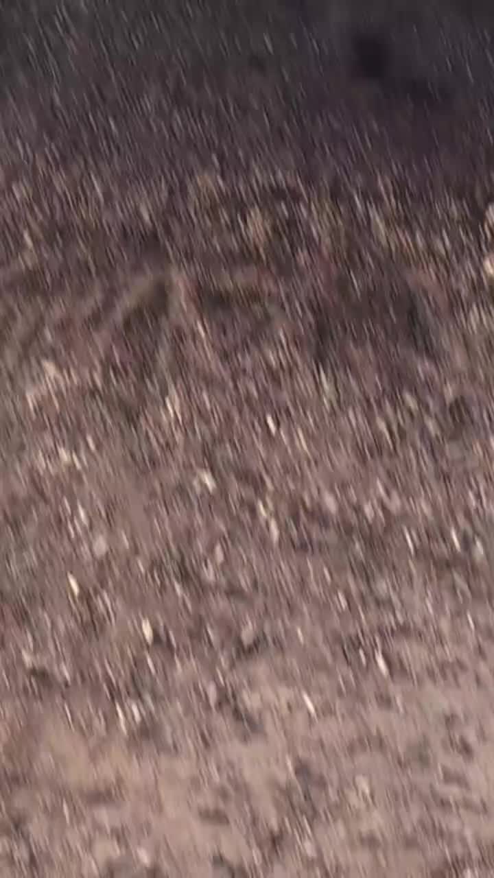 @Levi._.fr🦅🇩🇪