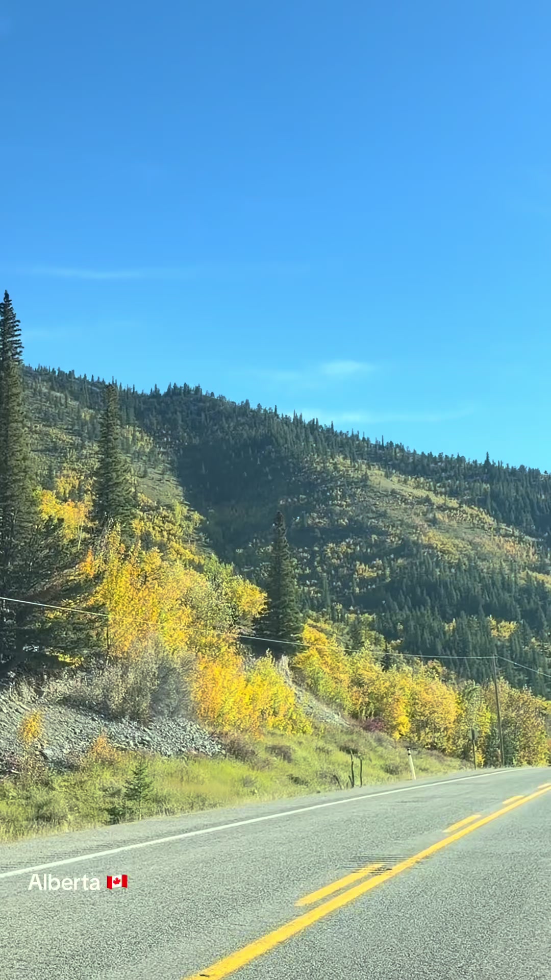 @Ada 🇨🇦