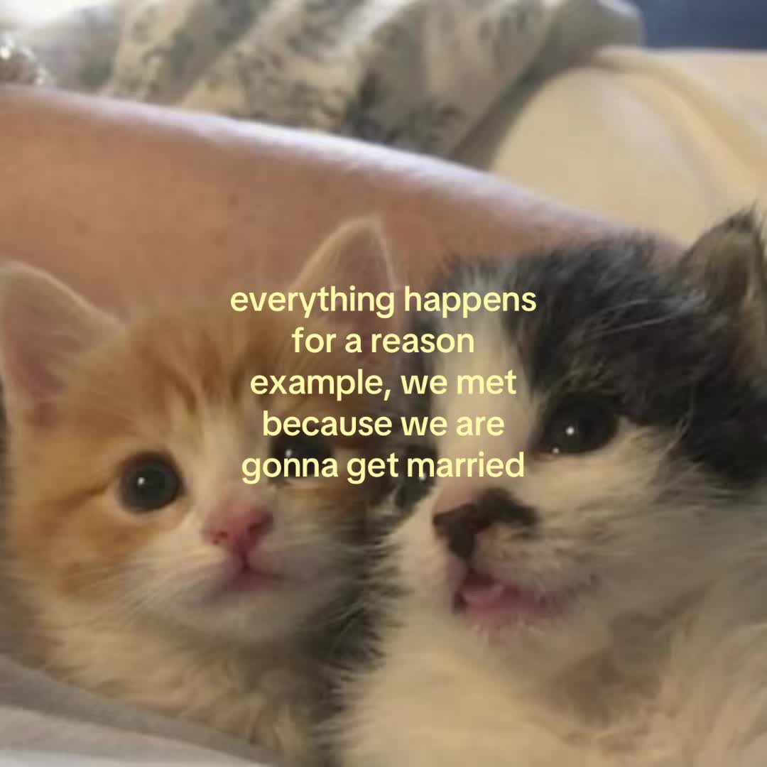 @motionsoflove