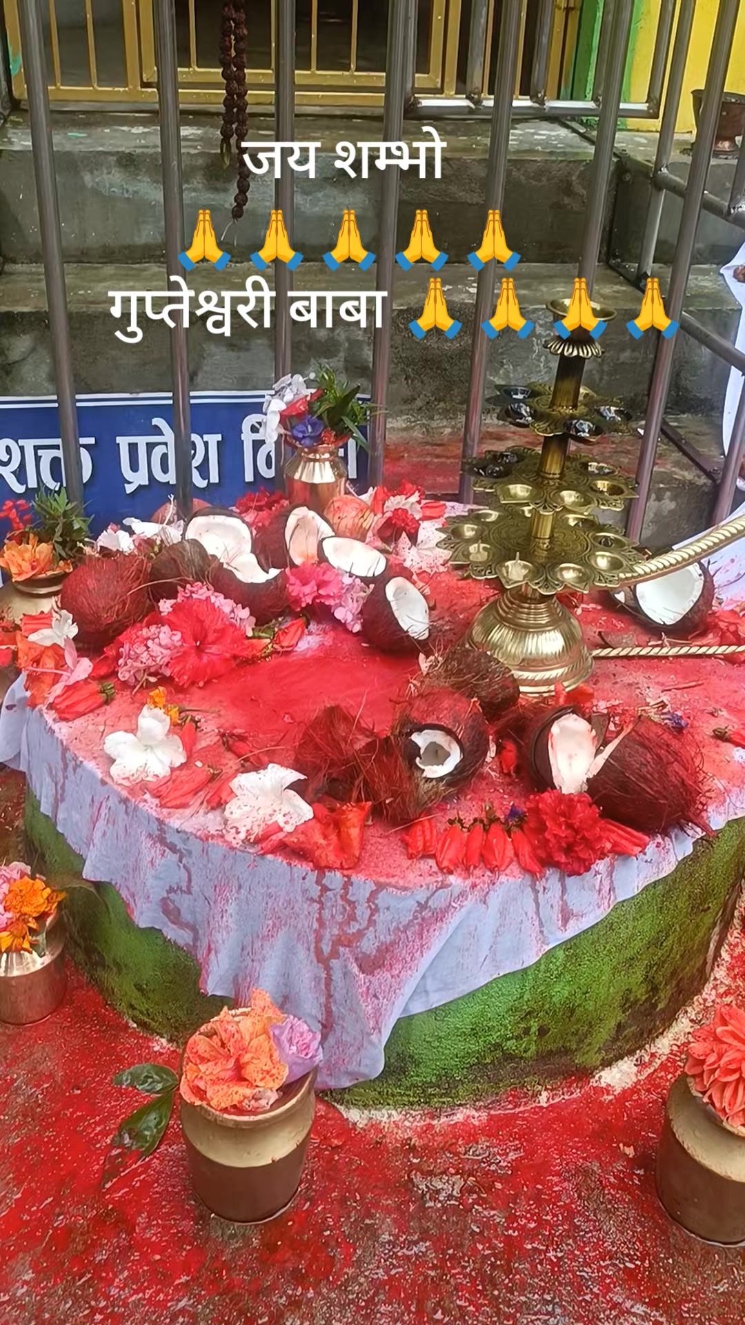 @Sanjana Lama