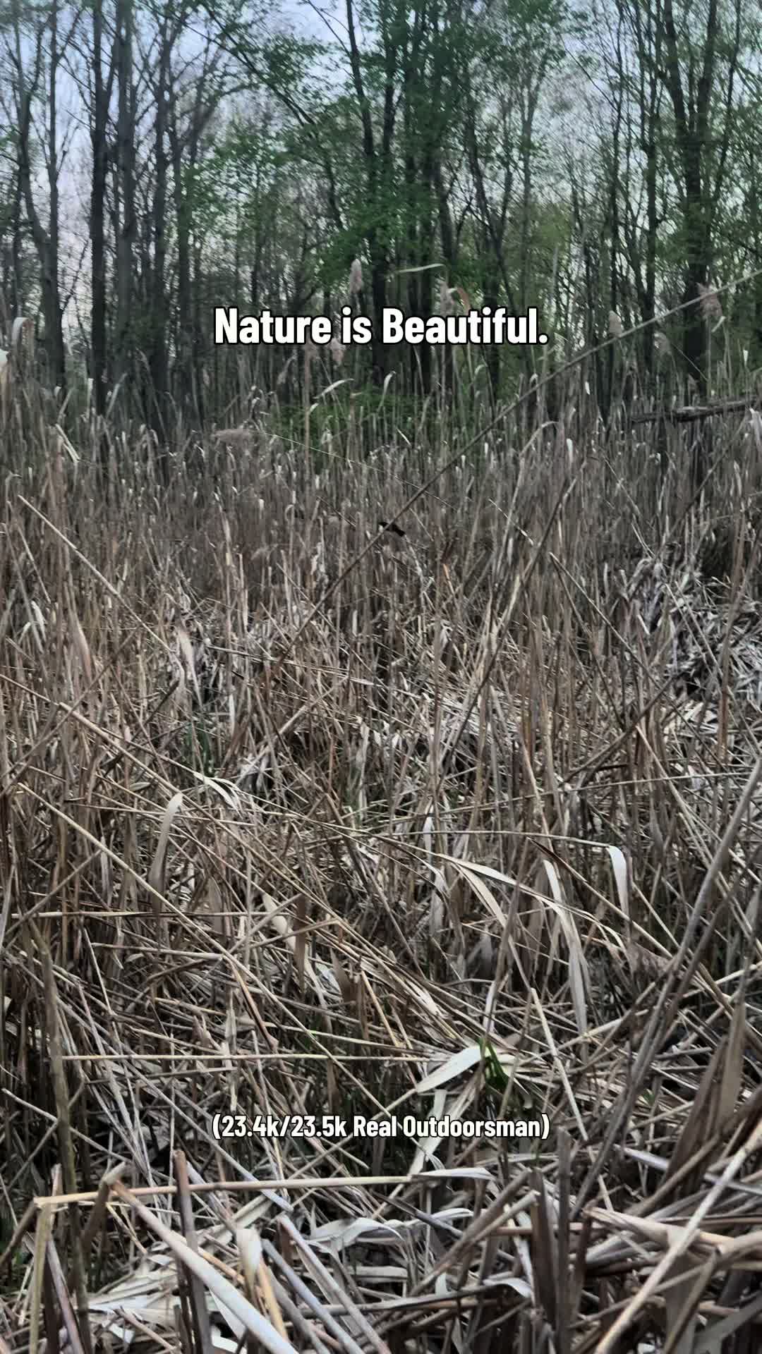 @Mellott Outdoors
