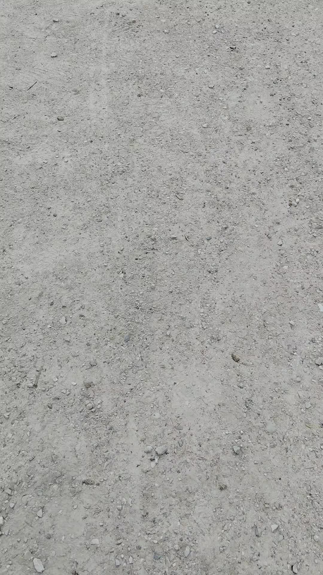 @Francieli Garbin