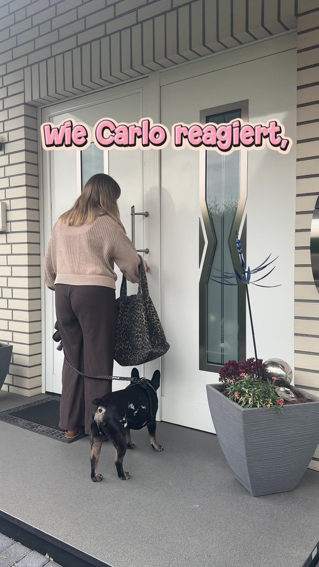 @Carlchenswelt