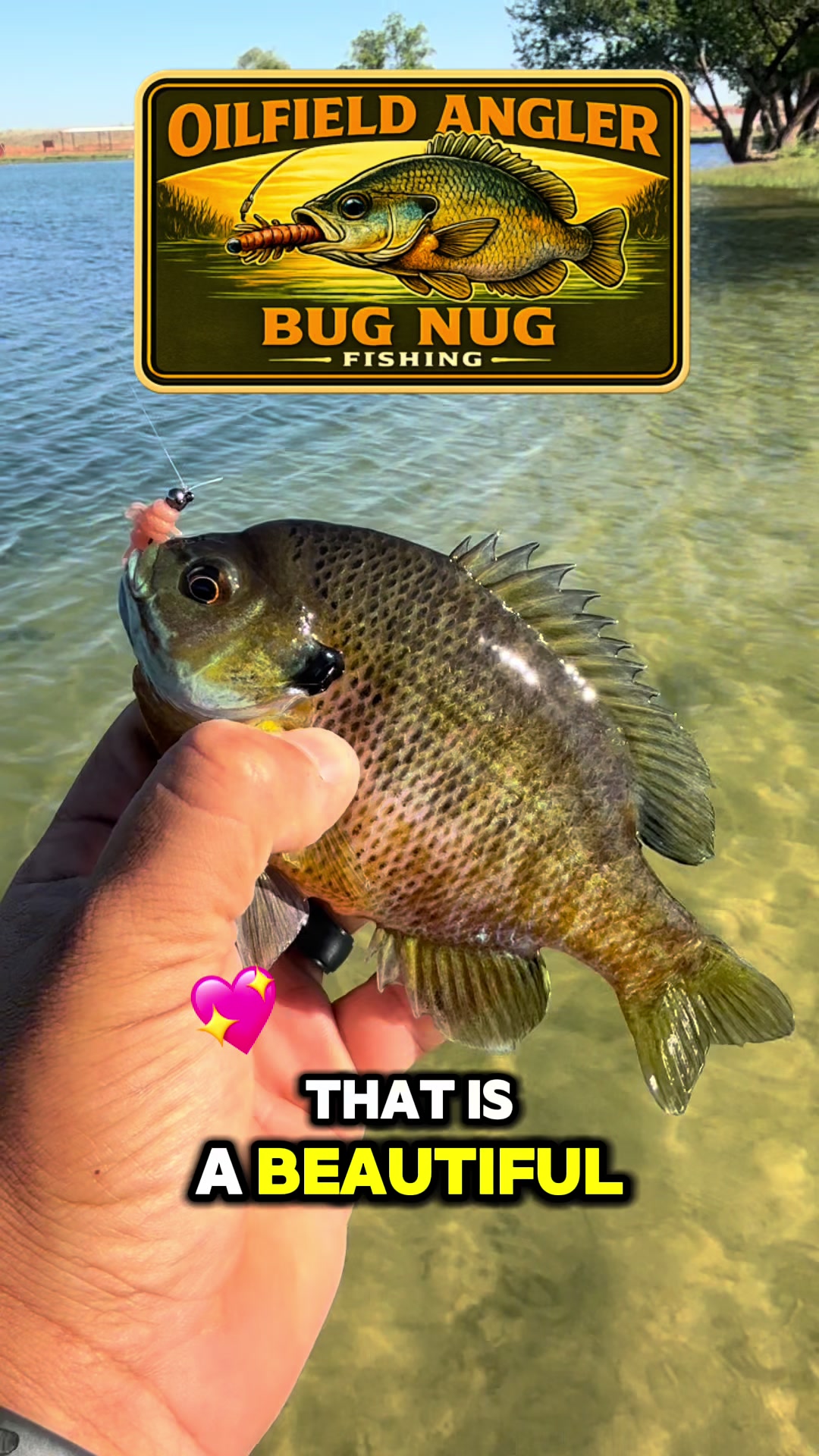 @Oilfield Angler Fishing