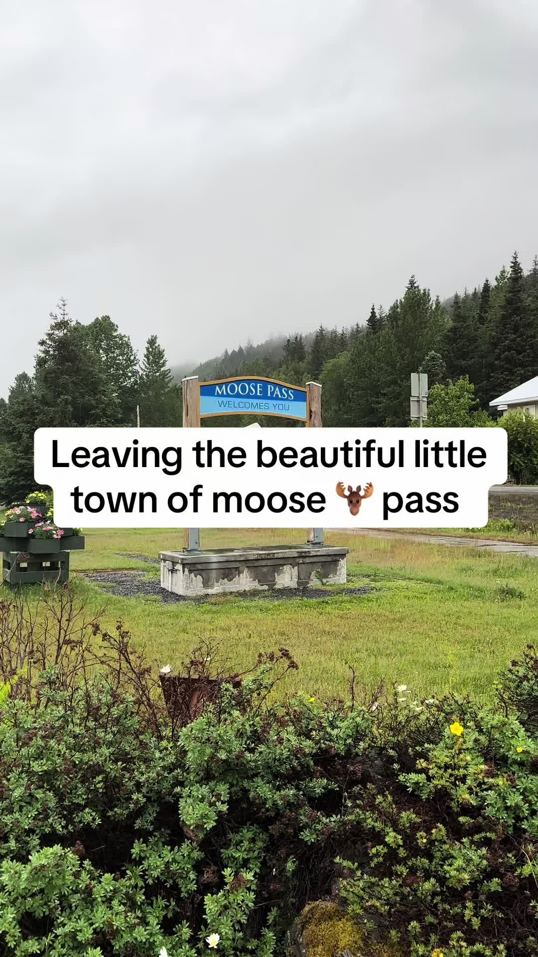 @Stephanie | Shady Creek Farm