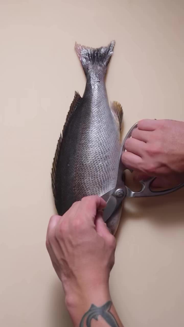 @KnifeArt