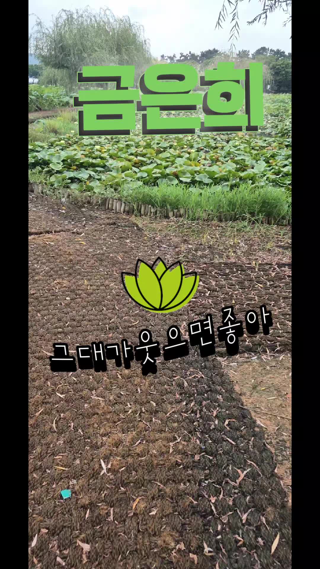 @금은희