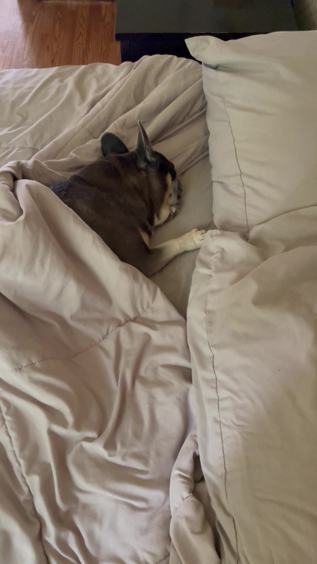 @Sunsoutgunsout&ensp;-&ensp;Jay 🩵💪🩵