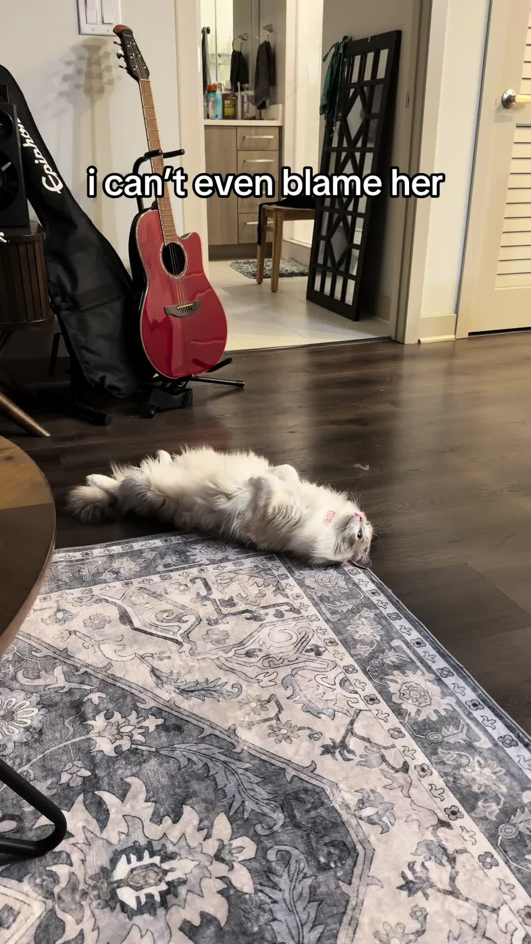 @luna ʕ•ᴥ•ʔ