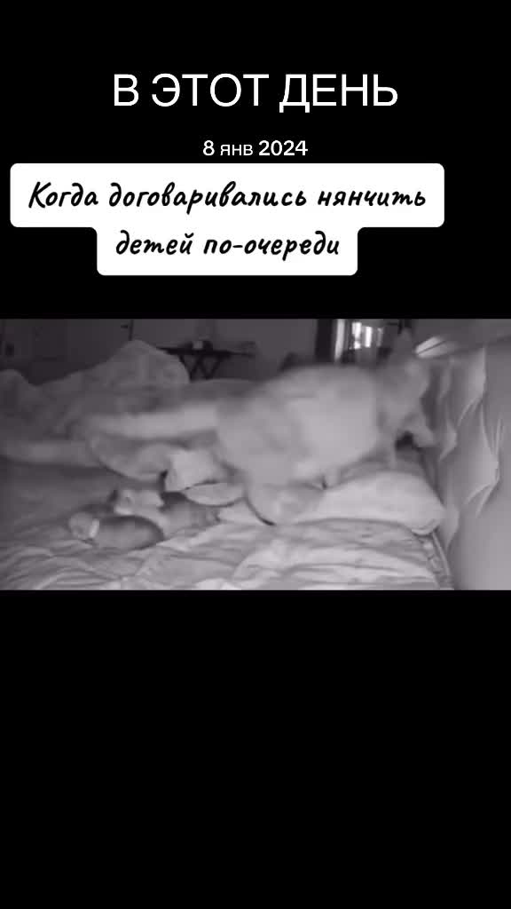 @Alya_ya