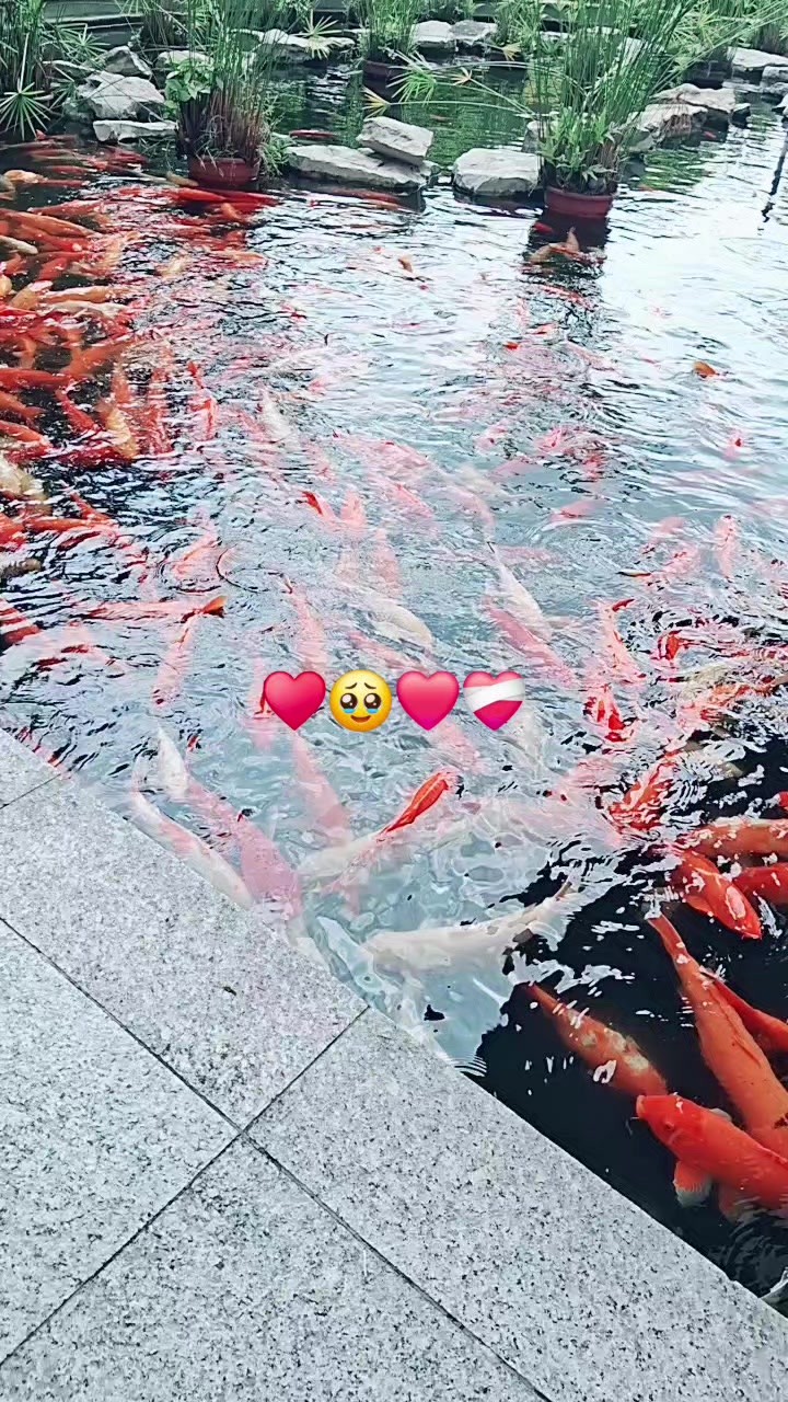 @🖤🌟♠️🌟♠️👈