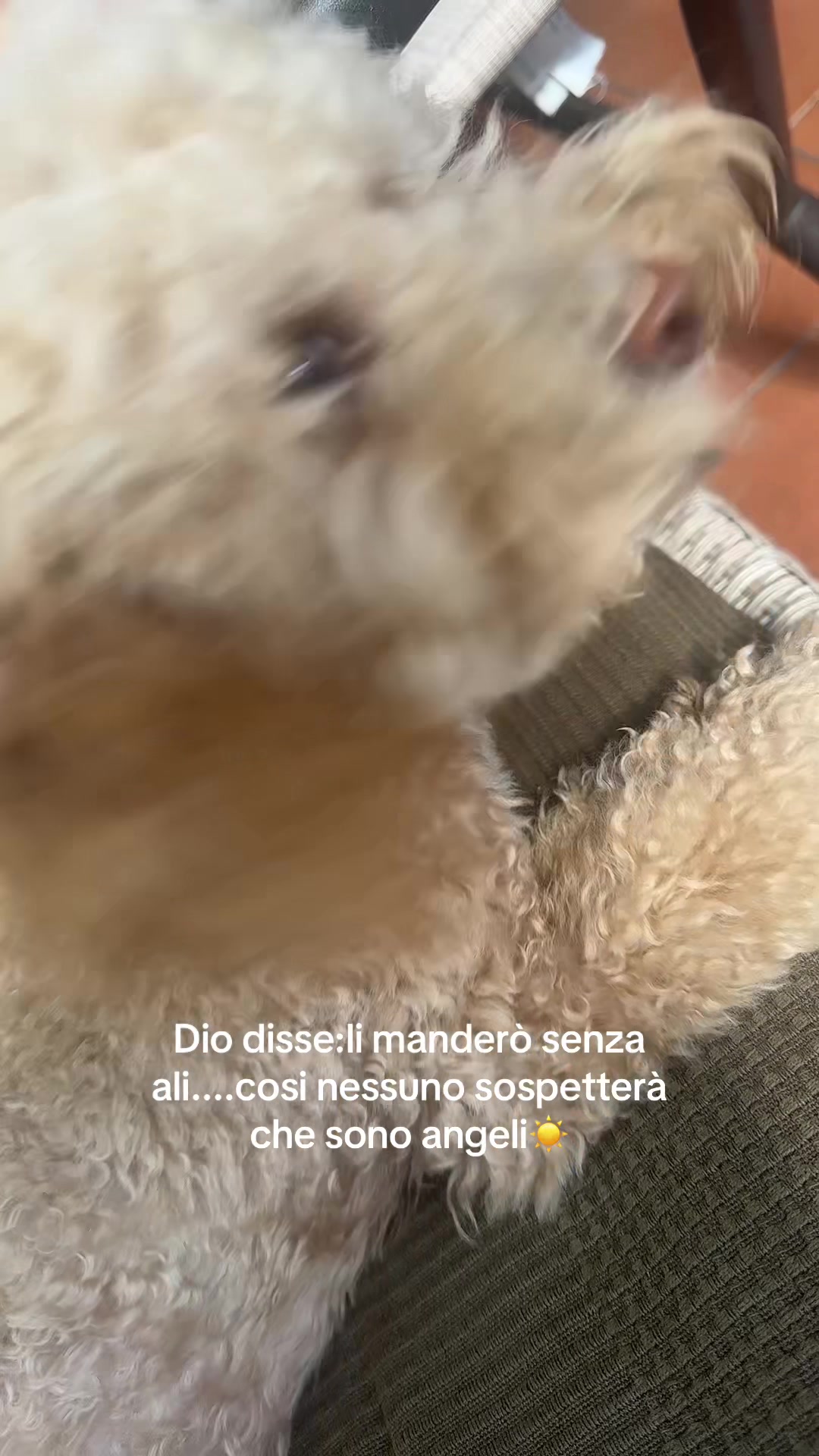 @mina