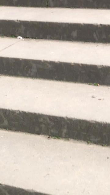 @✌️Vazo