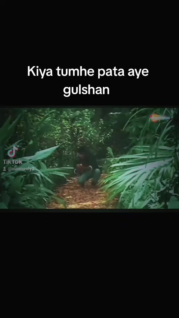 @Tehmina