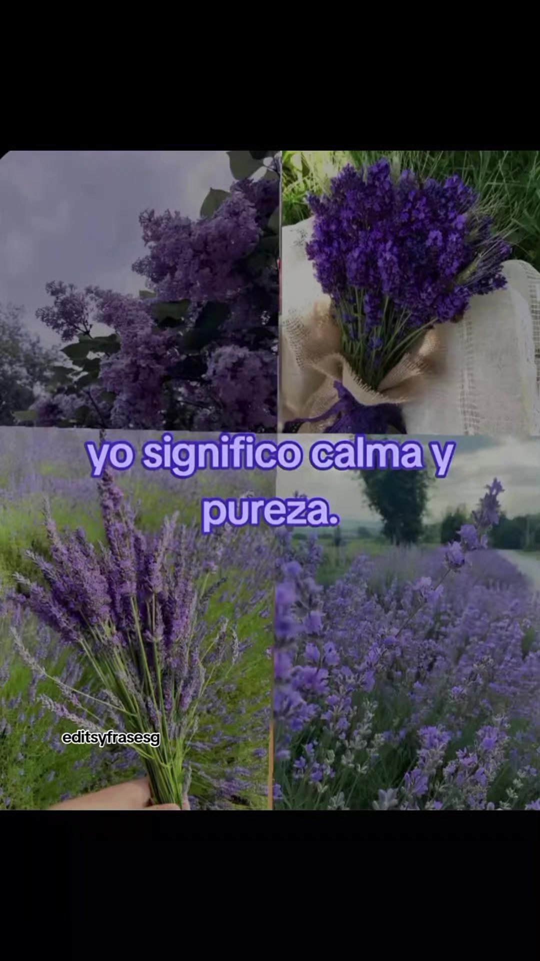 @EDITS Y FRASES G