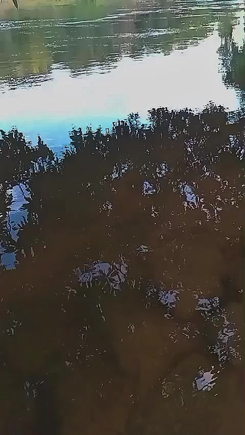 @J.Ataides🇧🇷🇧🇷🇧🇷