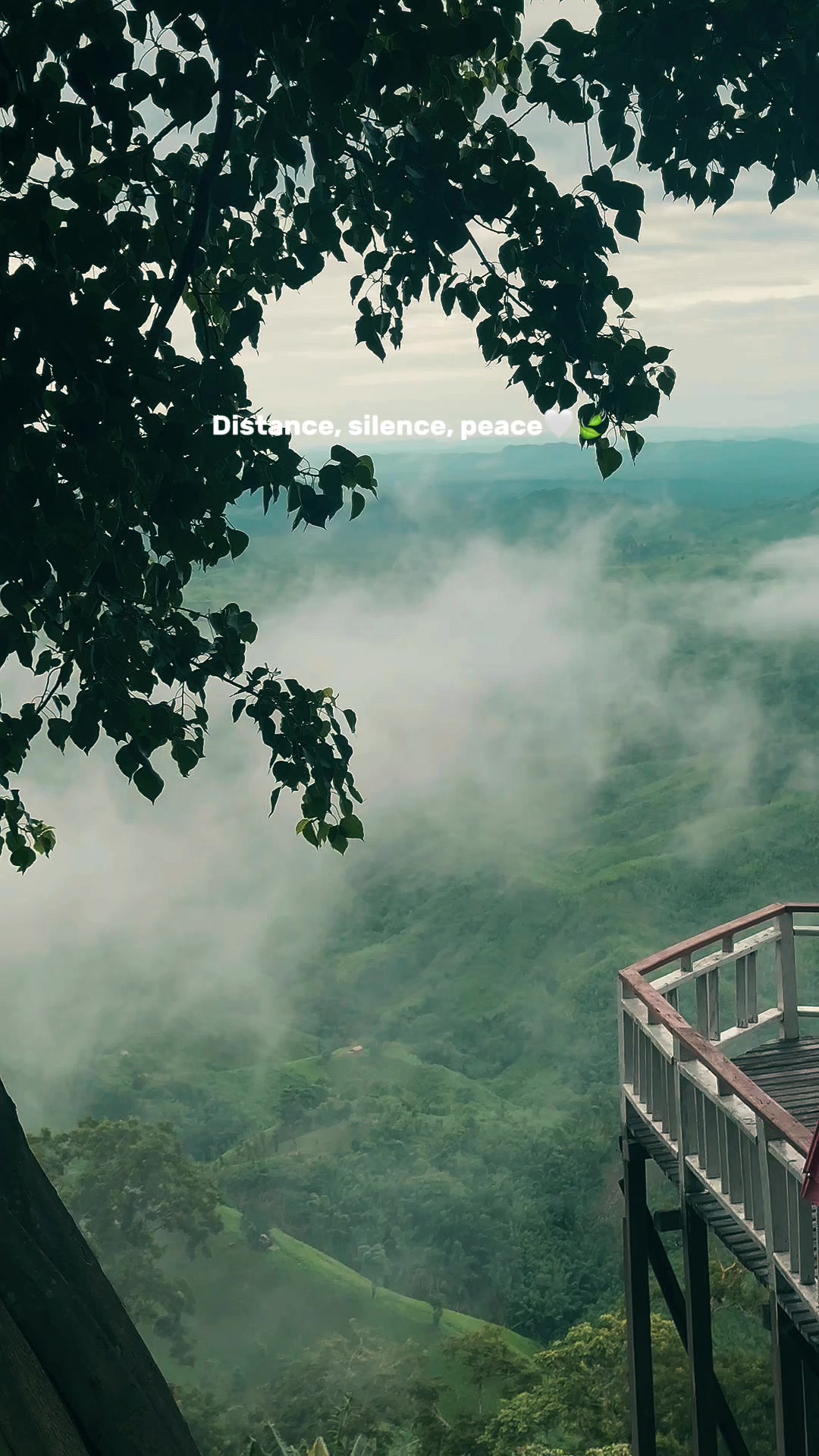 @Rasel Sajek Valley đđī¸