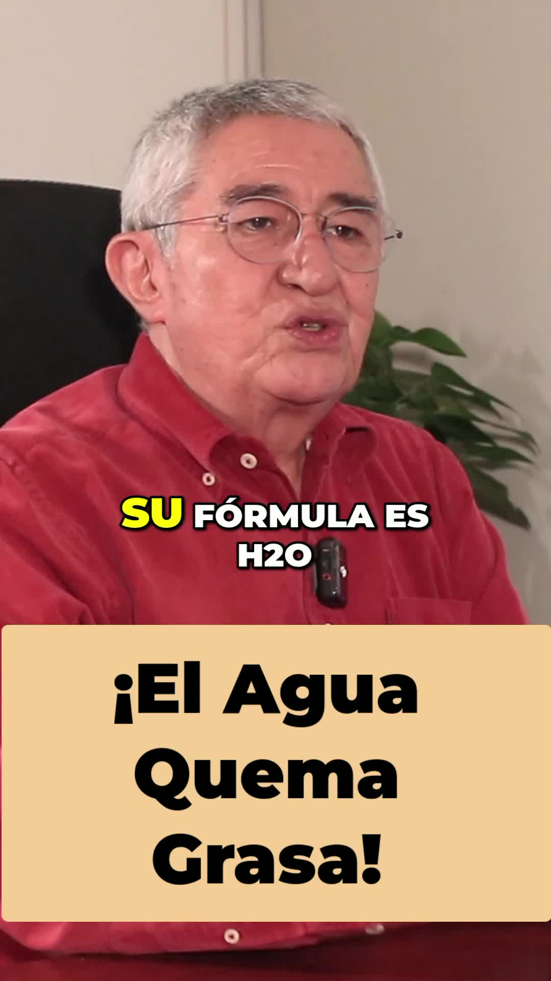 @Ortomolike