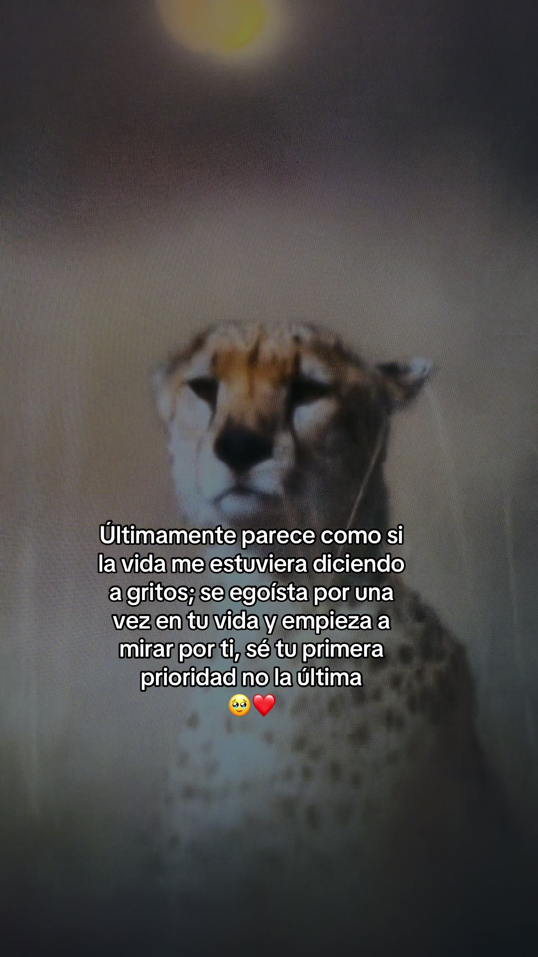 @Aida RamireZz❤️