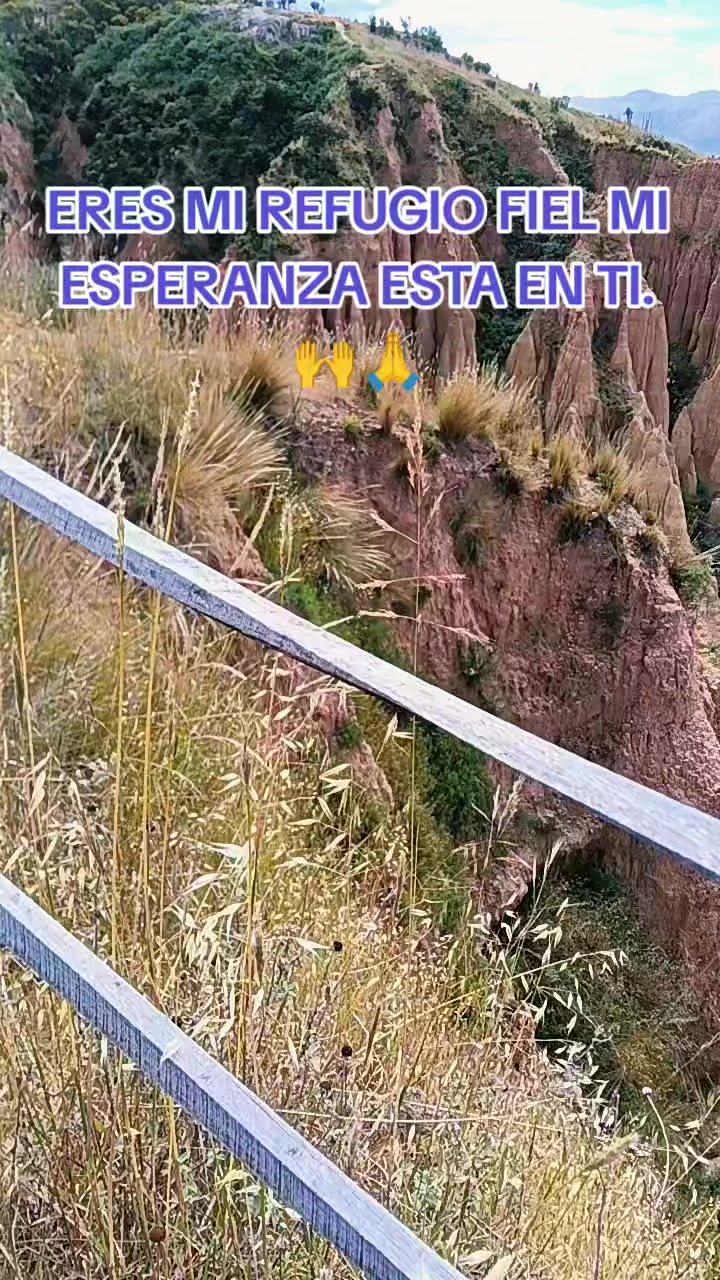 @LauMarleM🇵🇪💚